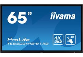 65" Touch Monitor TE6503MIS